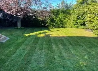 Équipement professionnel pour coupe-bordures et entretien de terrain