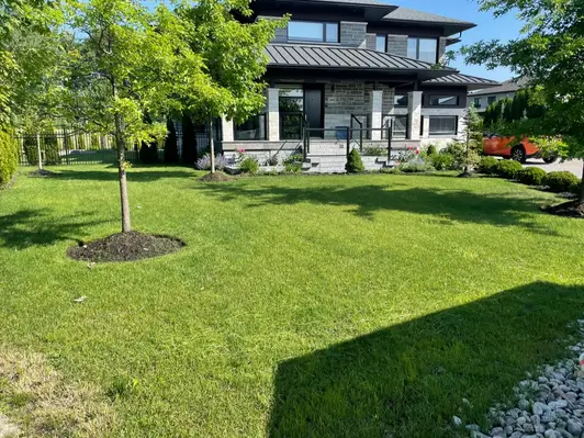 Terrain soigné après l'entretien hebdomadaire
