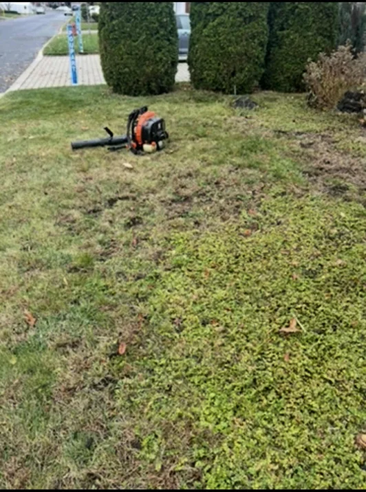Terrain net, acces degages