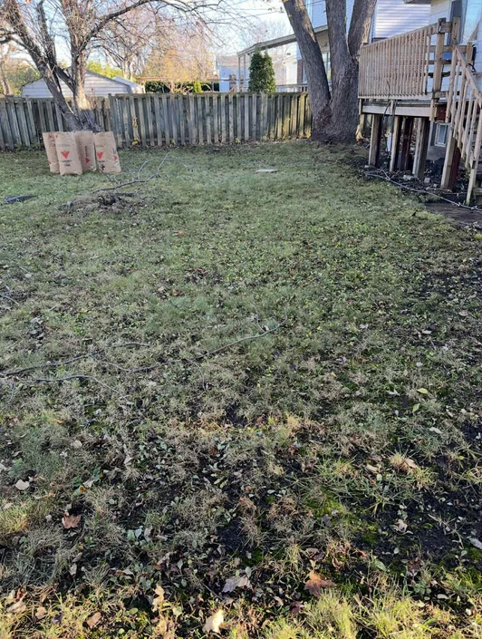 Terrain net, acces degages