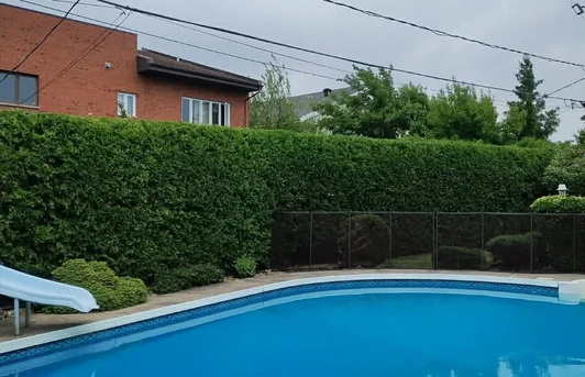 Taille des arbustes Brossard et Rive-Sud