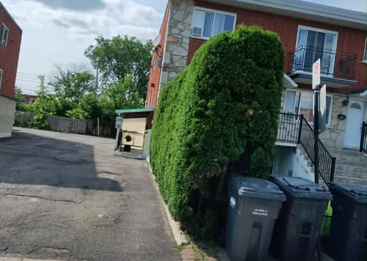 Taille des arbustes Brossard et Rive-Sud