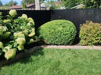 Taille des arbustes Brossard et Rive-Sud