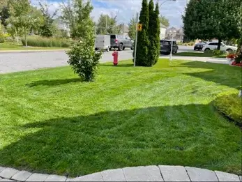 Terrain soigné après l'entretien hebdomadaire